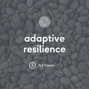 Adaptive Resilience