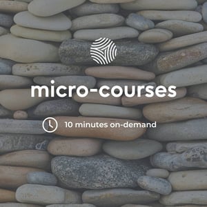 Micro-courses