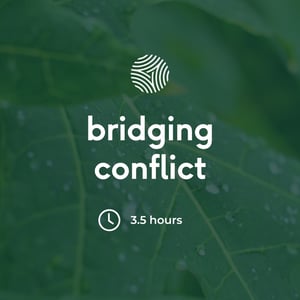 Bridging Conflict