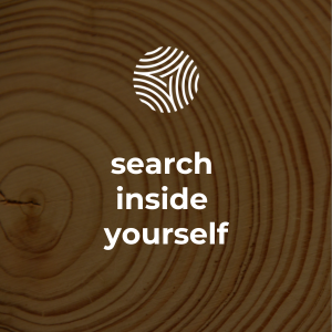 close-up of the grain of cut wood with text overlay 