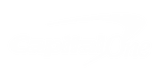 CapitalOne logo White