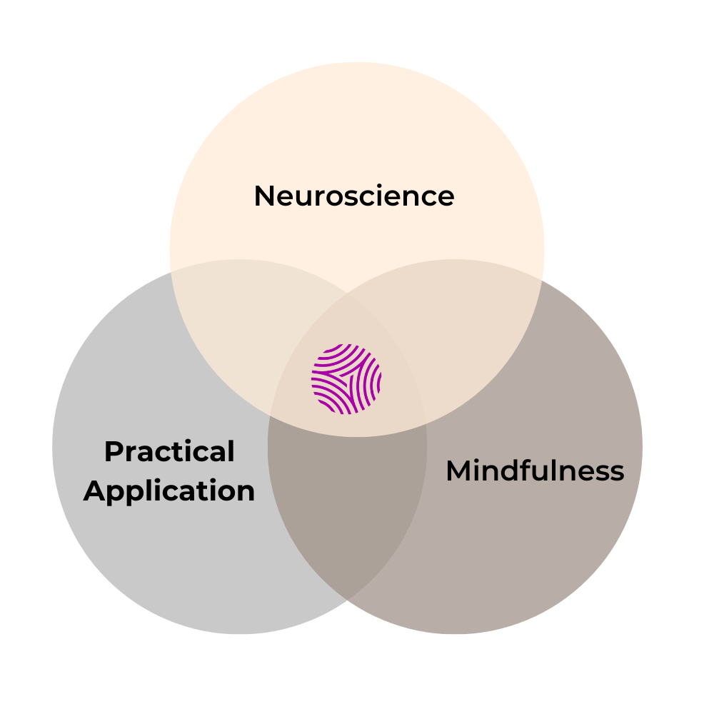 three interlocking circles showing SIY Global's advantage of using neuroscience, practical application, and mindfulness to teach emotional intelligence