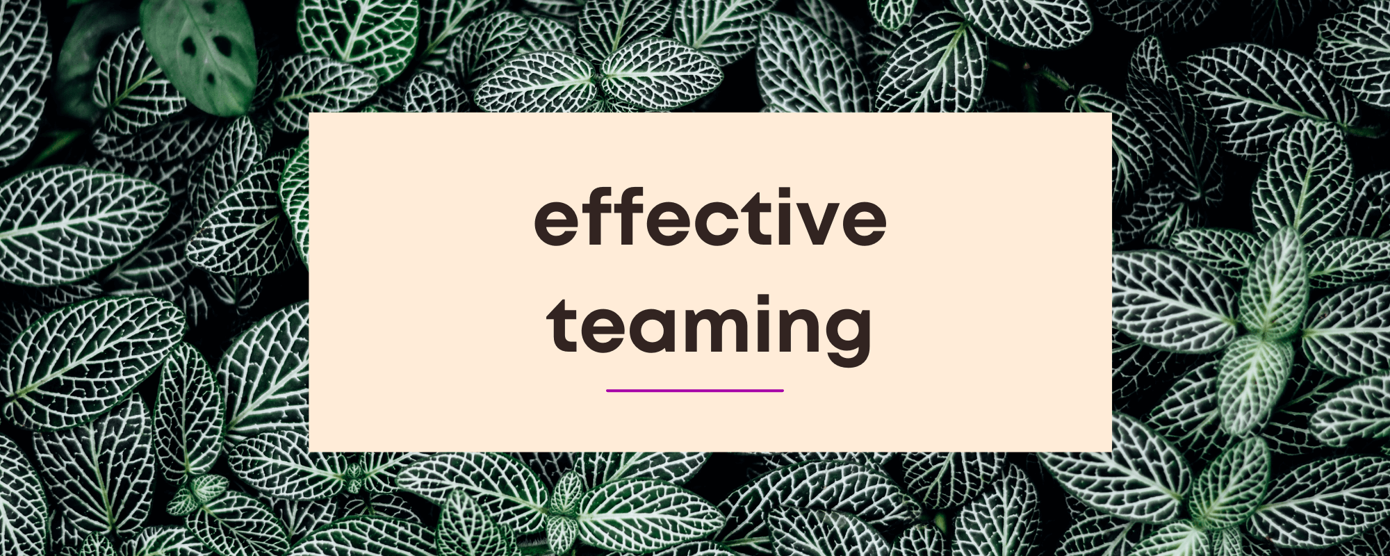 Effective Teaming collaboration training Effective Teaming collaboration training
