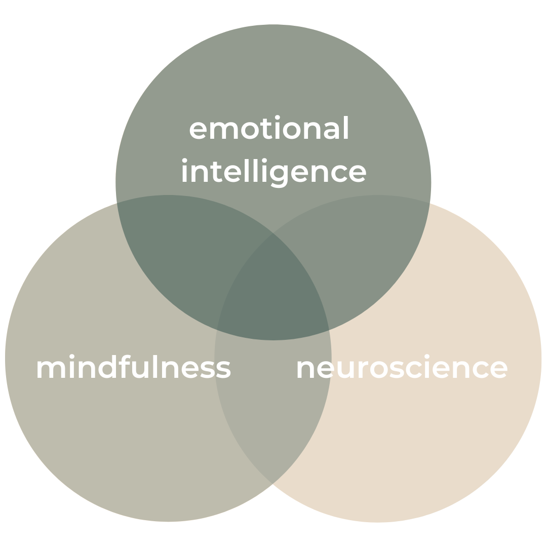 Mindfulness and Emotional Intelligence Leadership Training