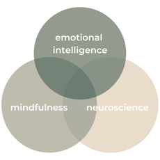 Mindfulness:EI:Neuroscience triad