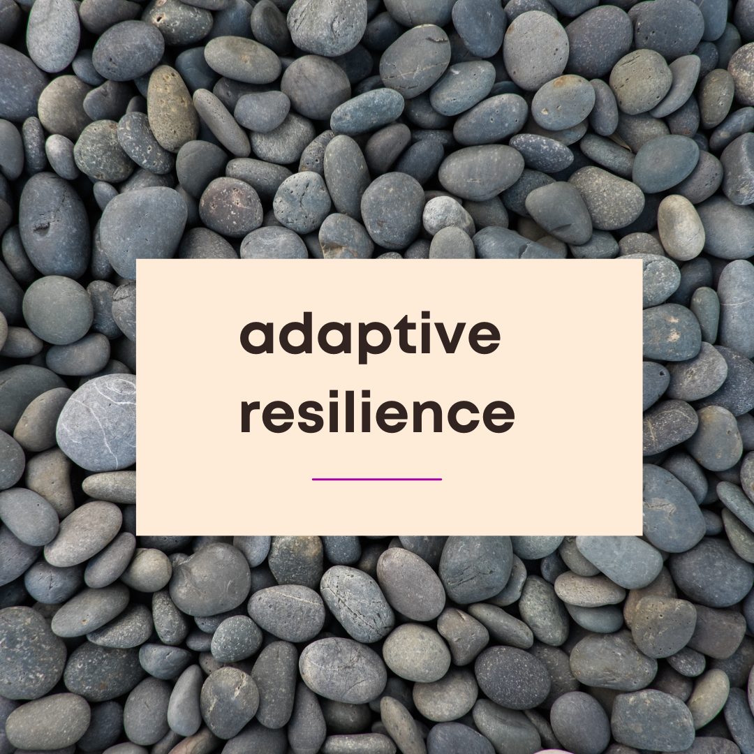 Adaptive Resilience