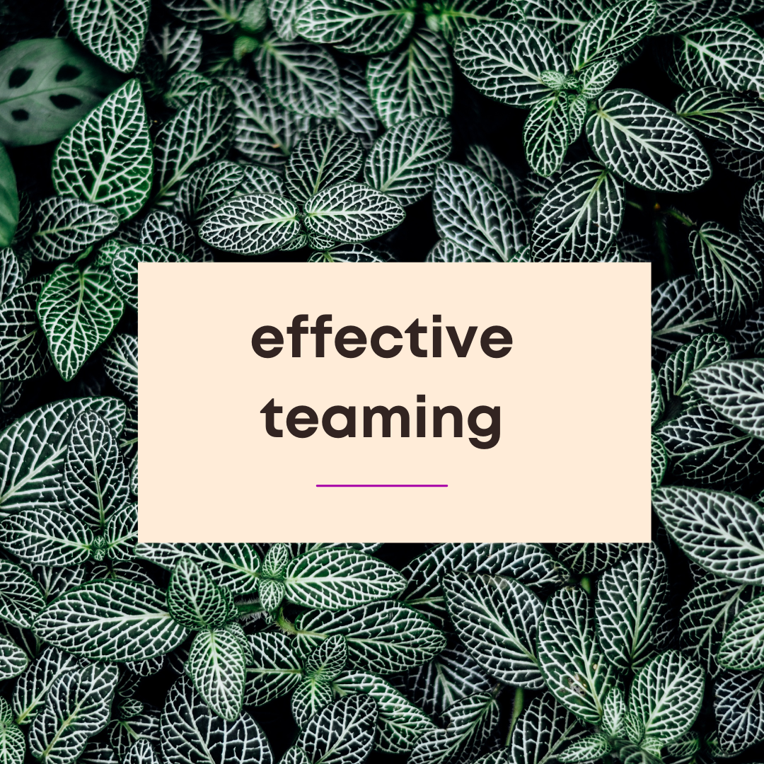 effective-teaming-graphic effective-teaming-graphic