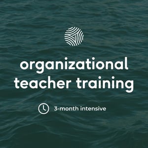 Organizational Teacher Training