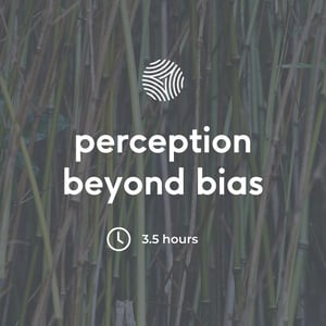 Perception Beyond Bias