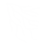 Root of Tree