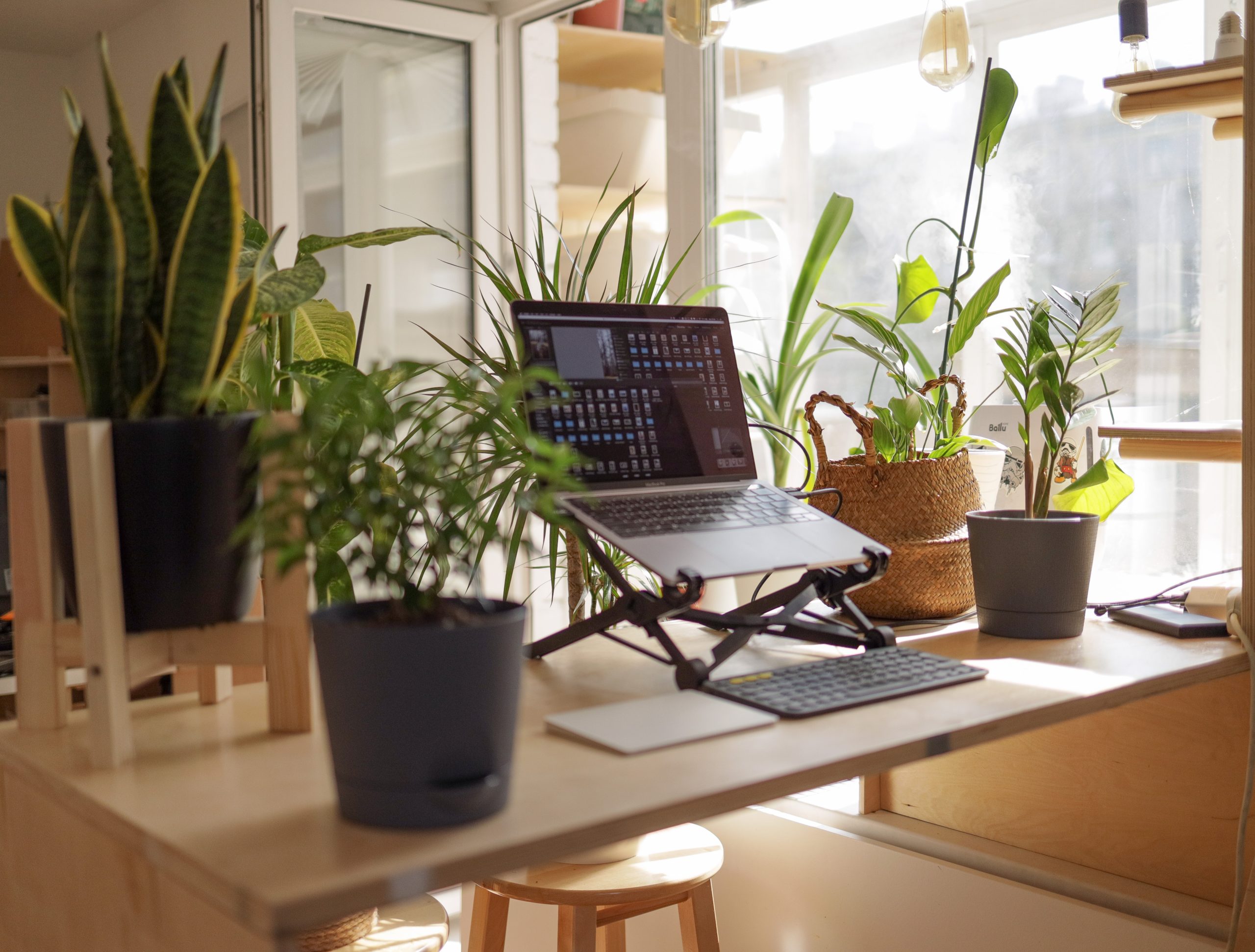 vadim-kaipov-_6kI0qhmxc4-unsplash Work from home office with plants