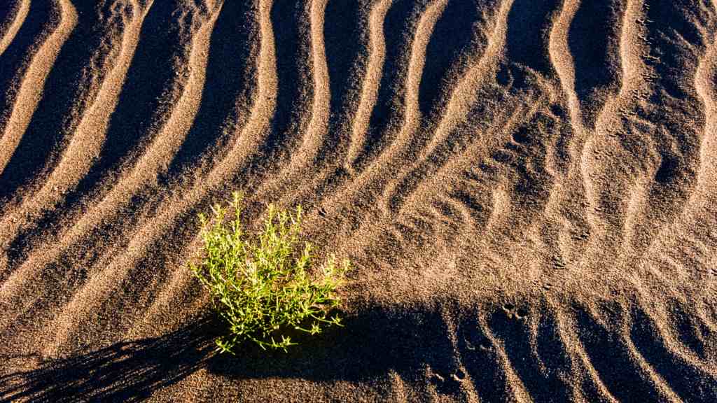 The Power of Resilience