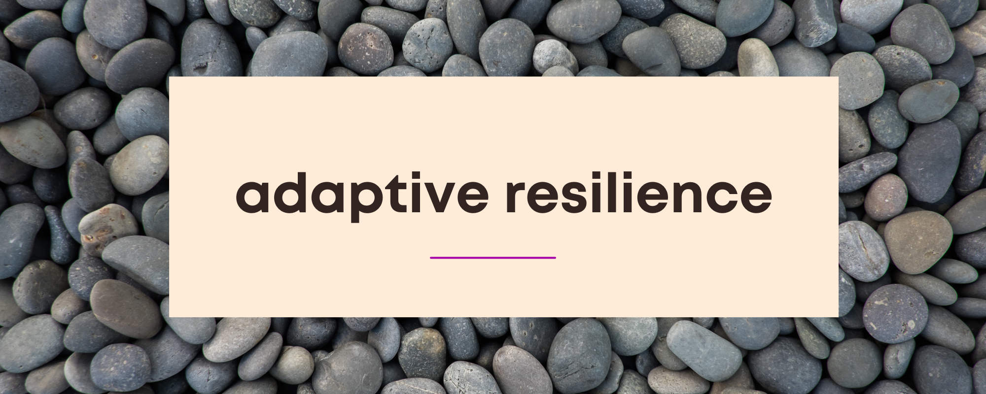 Adaptive Resilience Training