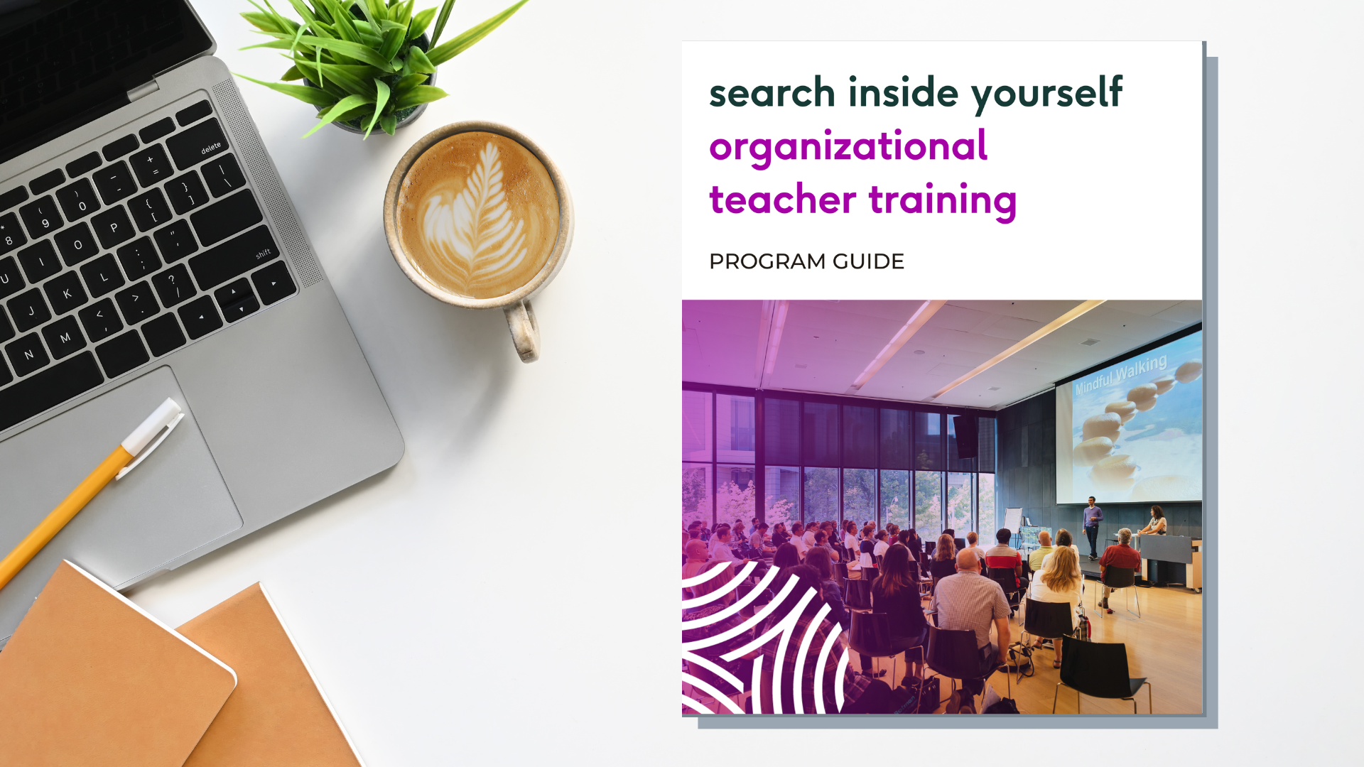 OTT-program-Guide