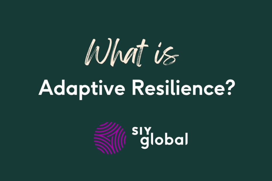 What is Adaptive Resilience?
